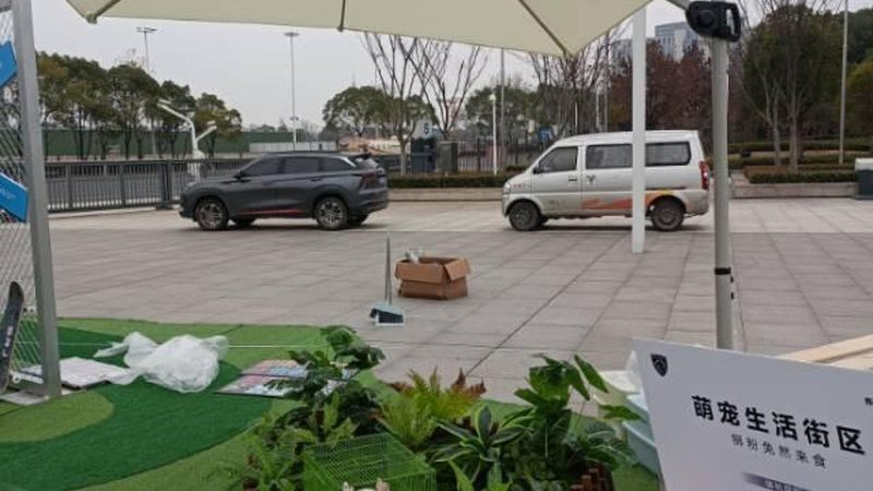 平面设计接单平台：揭秘其优势与潜在风险